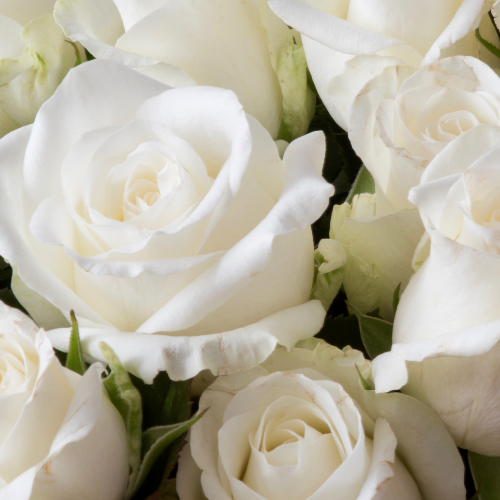 6 Roses with Filler (In a Vase)